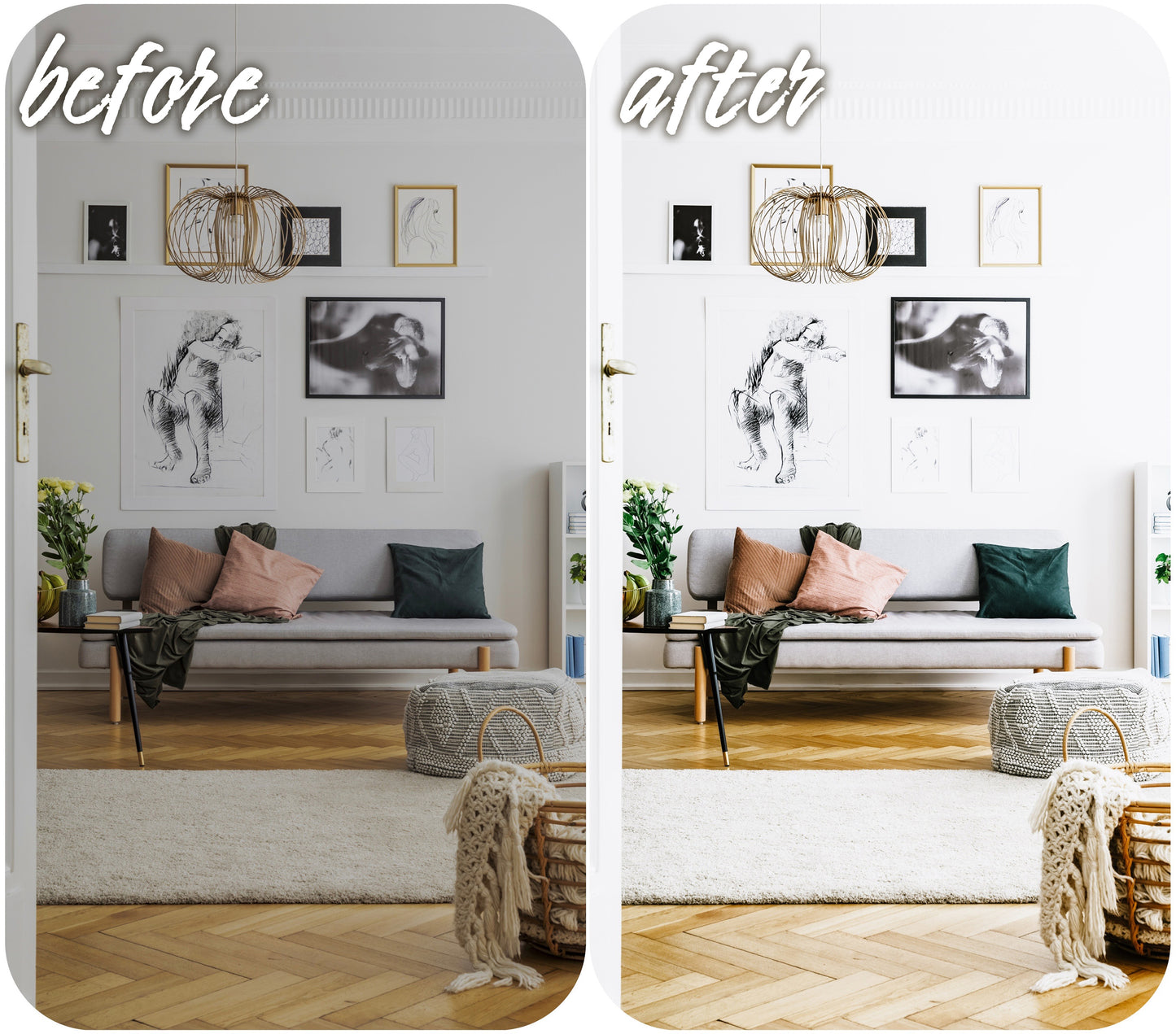 Light Touch - Alicephotostudio