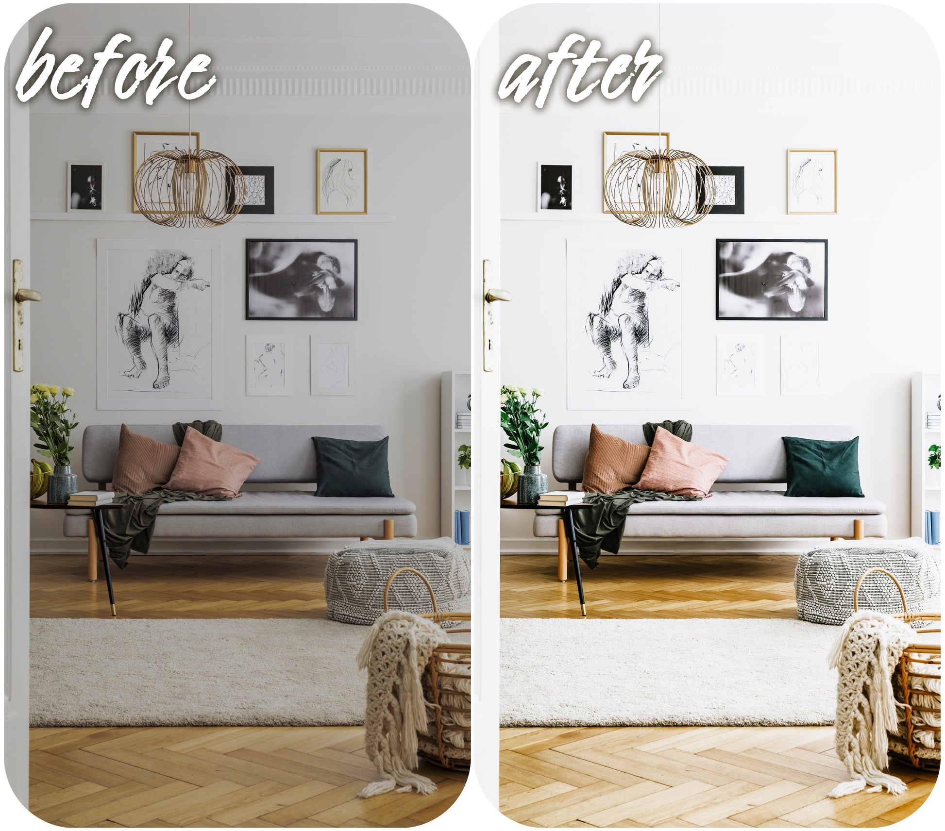 Light Touch - Alicephotostudio