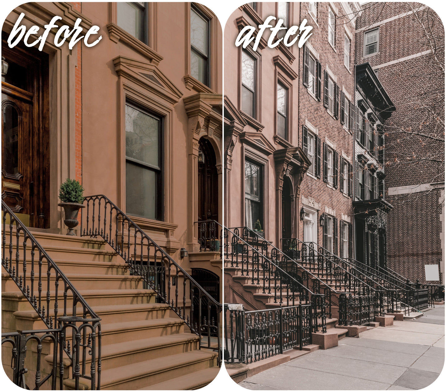 New York - Alicephotostudio