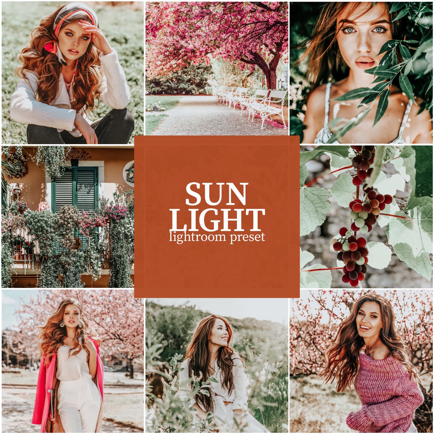 Sun Light - Alicephotostudio
